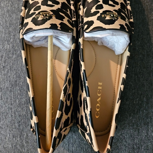 Coach shoes - Picture 4 of 6